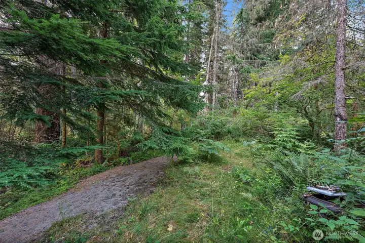 Toward the Back of the Parcel
