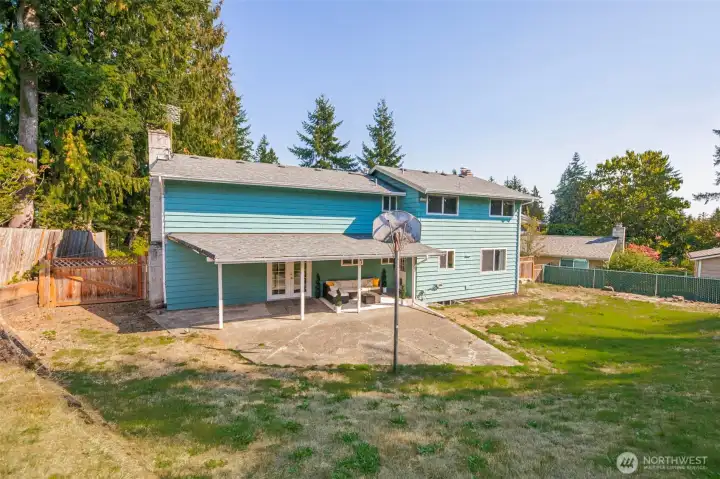 Large Backyard
