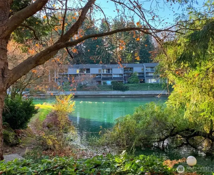 water views from back deck