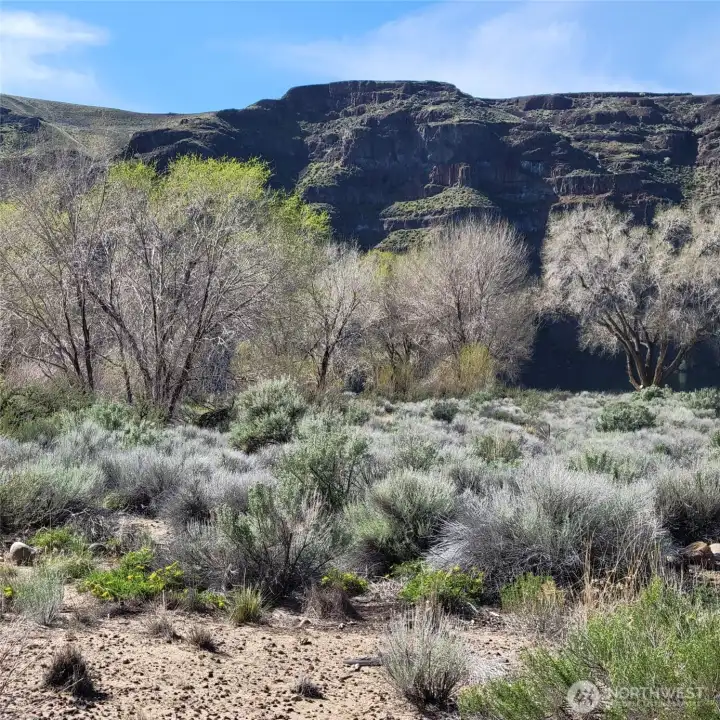 View of the River from the house