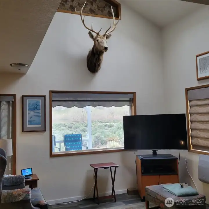 Large living room area.