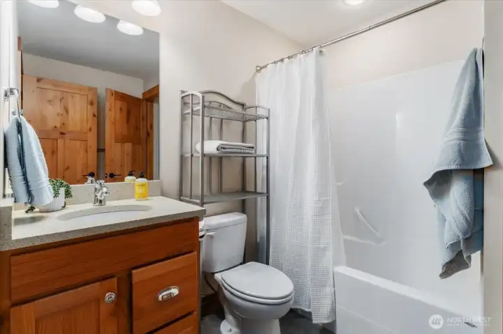 View of lower level full bathroom.