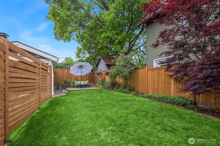 New privacy fence.