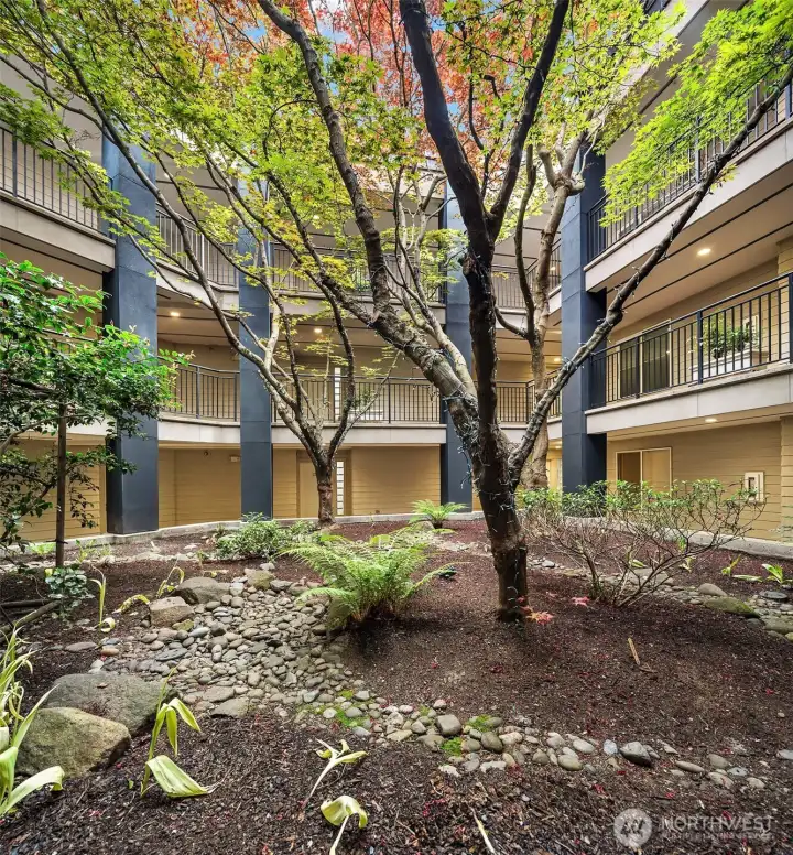 The inner courtyard. The inner courtyard.