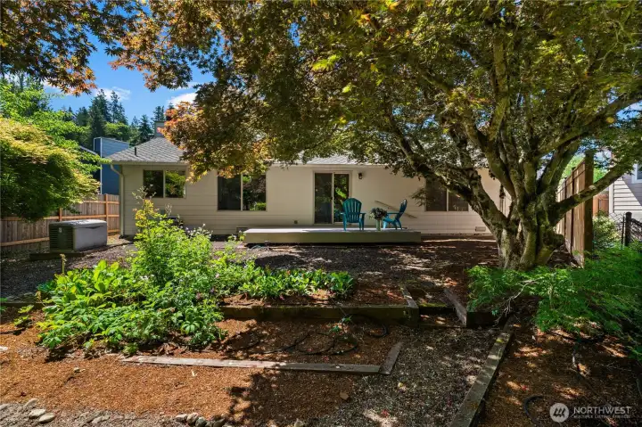 The terraced backyard offers shade from a beautiful Maple Tree and areas for landscaping. The terraced backyard offers shade from a beautiful Maple Tree and areas for landscaping.