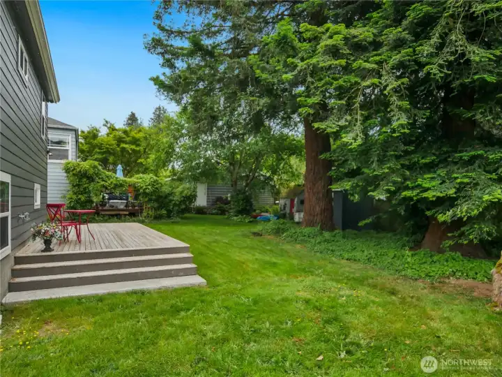 BIG backyard, with a nice deck BIG backyard, with a nice deck