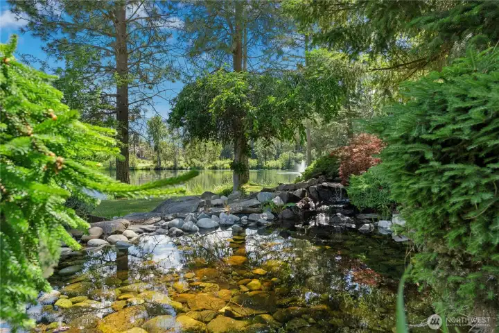 A tranquil water feature creates a peaceful focal point. A tranquil water feature creates a peaceful focal point.