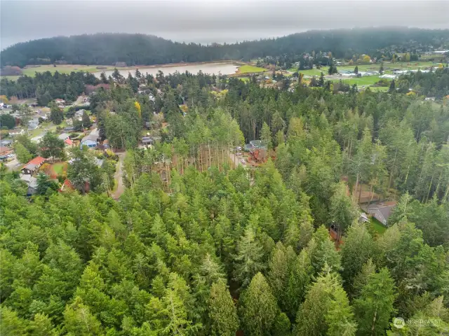 Fort Worden, Chinese Gardens, Morgan Hill, & County Fairgrounds in the distance.