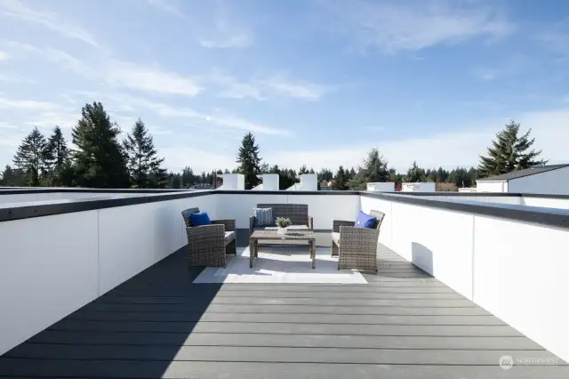 Spacious roof terrace
