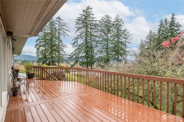 Large, beautiful Deck can be accessed from LR, Dining/Family Room, or up the stairs from side yard!