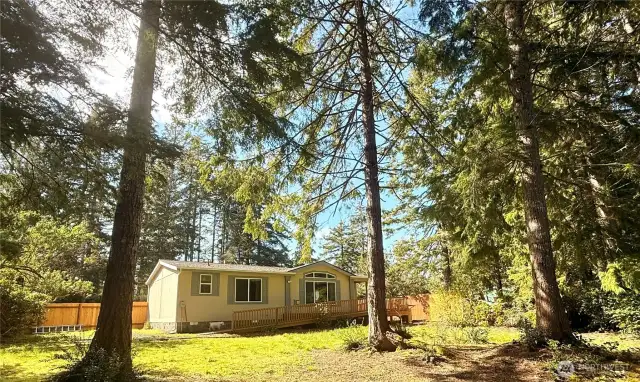 Beautiful private home in the forest!