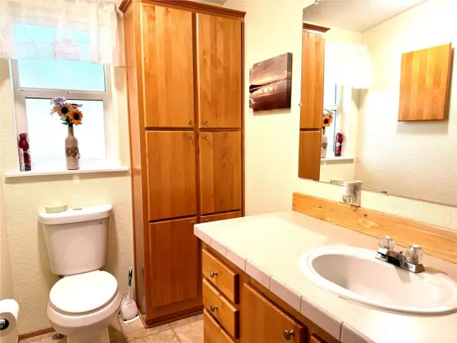 Primary bathroom with lots of storage