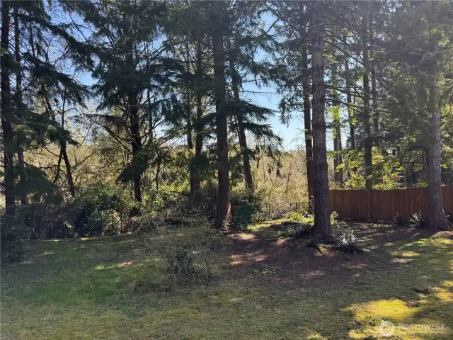 beautiful peaceful fully fenced back yard