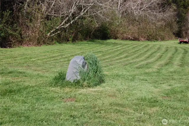 Well covered with faux rock