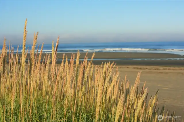 Miles of gorgeous beach...