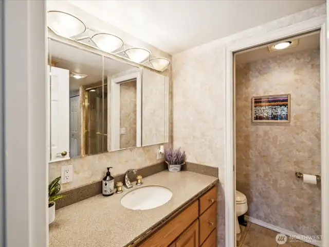 Lower level Primary Bathroom Suite - lovely full bathroom, dual-headed shower & large soaking tub.