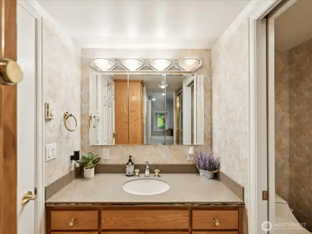 Lower level Primary Bathroom Suite - lovely full bathroom, dual-headed shower & large soaking tub.