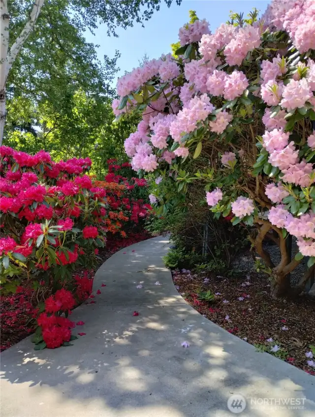 Path to the ADU