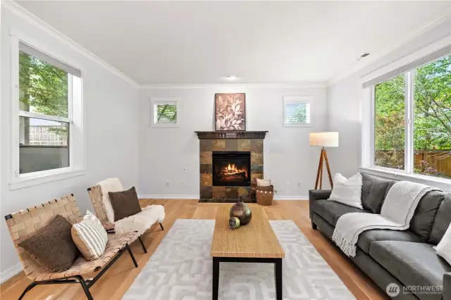 Gas Fireplace