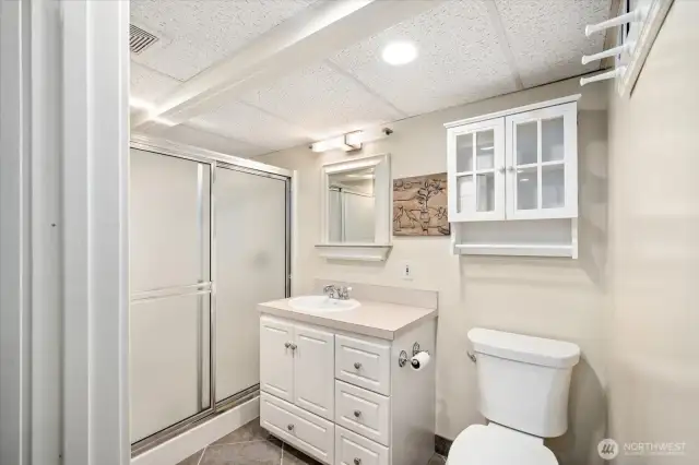 Basement bathroom