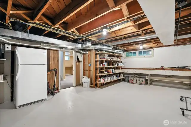 Lots of basement storage