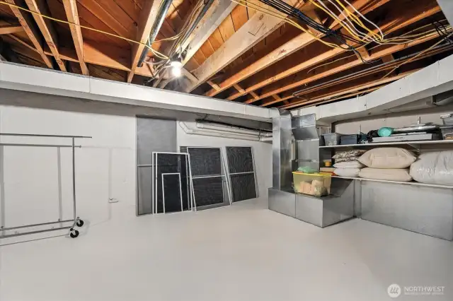 Basement storage and fully updated electrical and plumbing visible