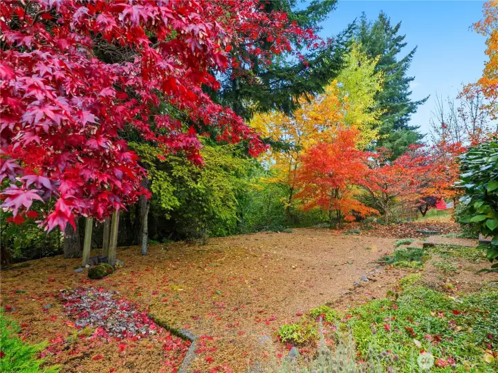 Large back patio/yard
