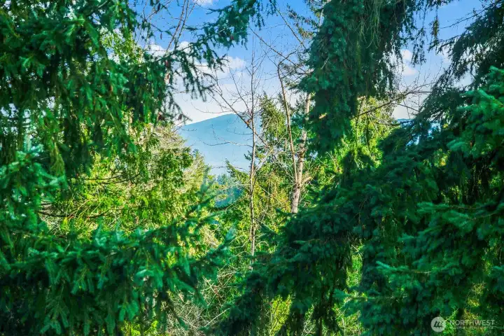 Views from kitchen, family room and deck