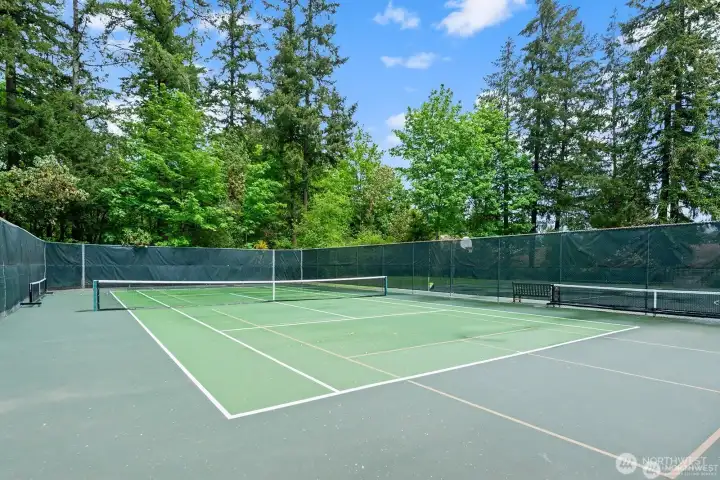 Neighborhood tennis courts