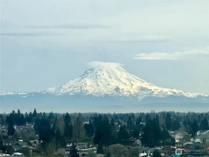 Mt. Rainier view from the Living room