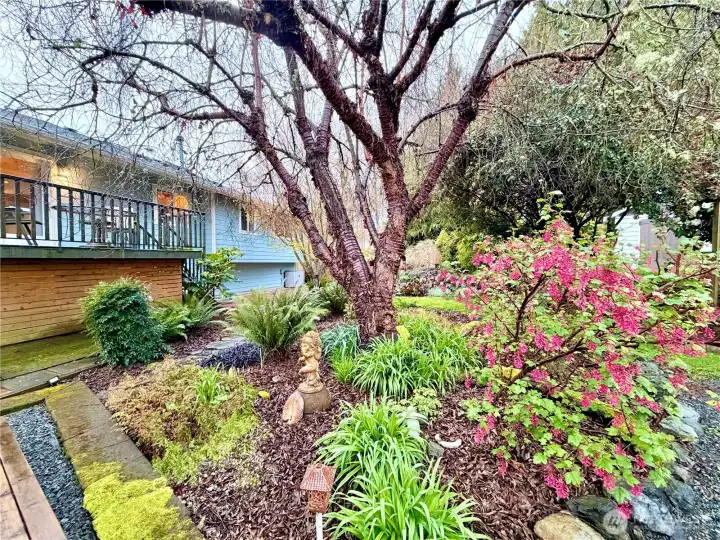 Looking from the OM Home back to the main house
