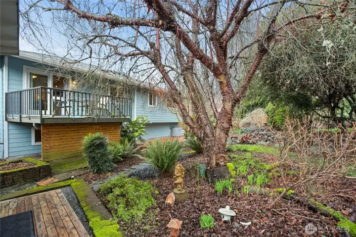 Looking from the OM Home back to the main house.