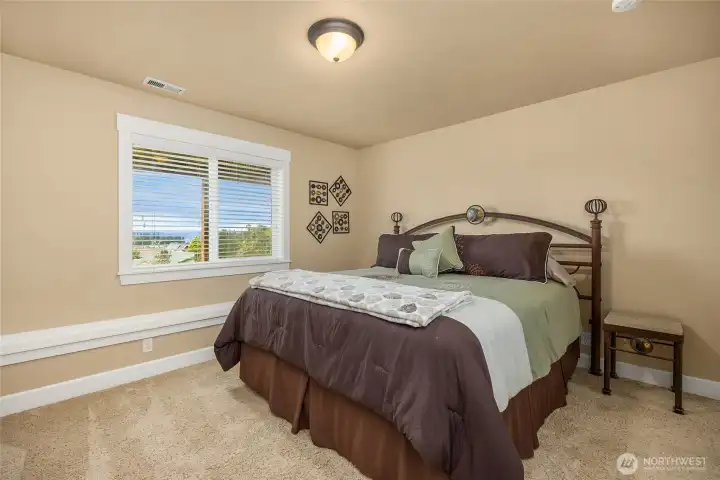 One of the lower-level bedrooms with built-in display ledge beneath the window and pleasant neighborhood views.
