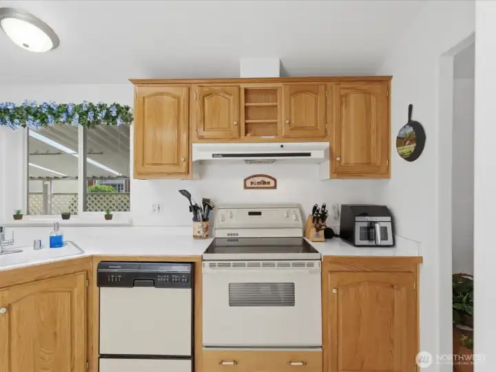 Lots of cabinets in the kitchen.