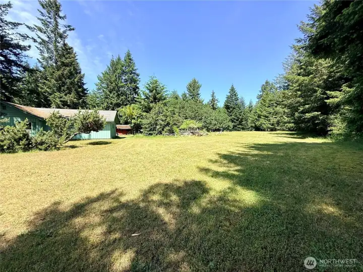 More open pasture