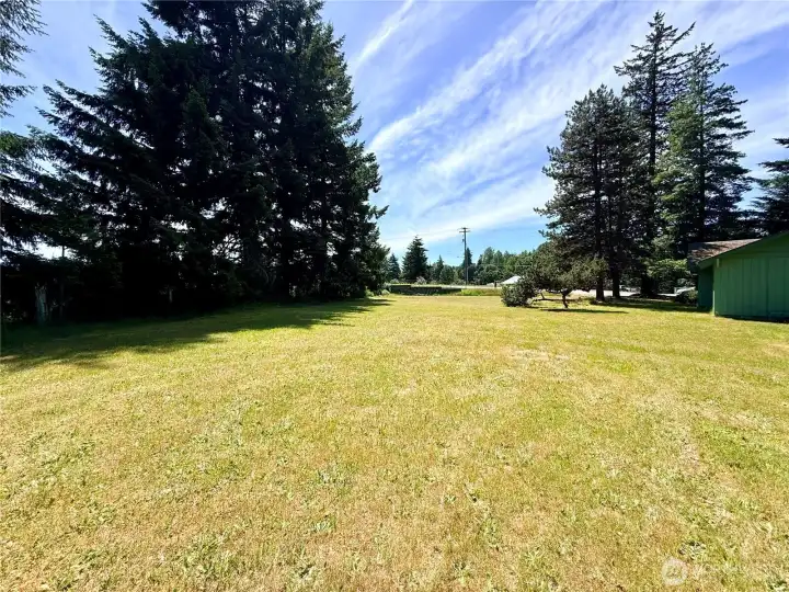 More pasture