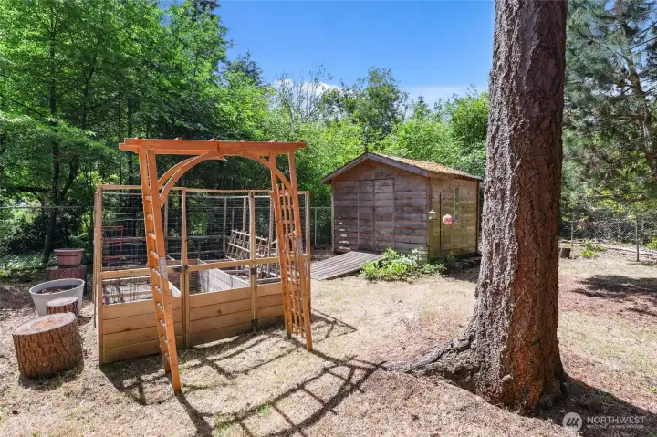 Raised garden bed and garden shed.