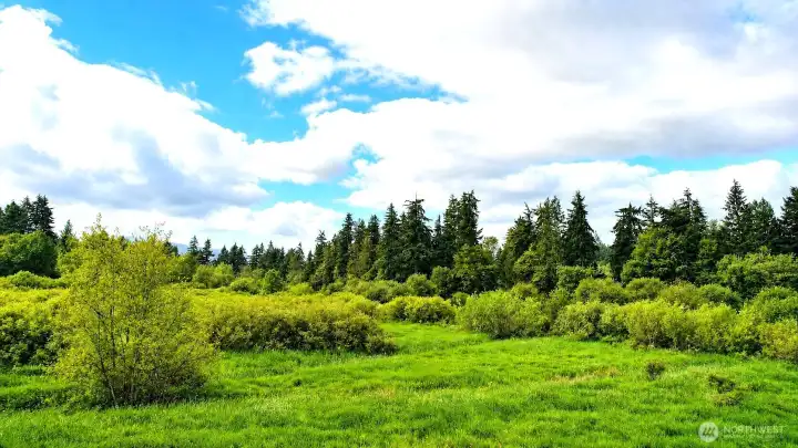 open meadow, Toboton creek and Porcupine ridge open meadow, Toboton creek and Porcupine ridge