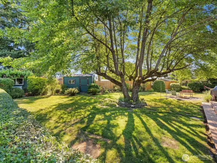 Storage shed in the background