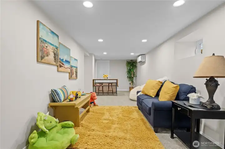 Lower Level Living Area