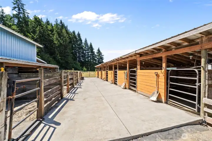 7 Shed-row type stalls provide substantial boarding capacity. 7 Shed-row type stalls provide substantial boarding capacity.