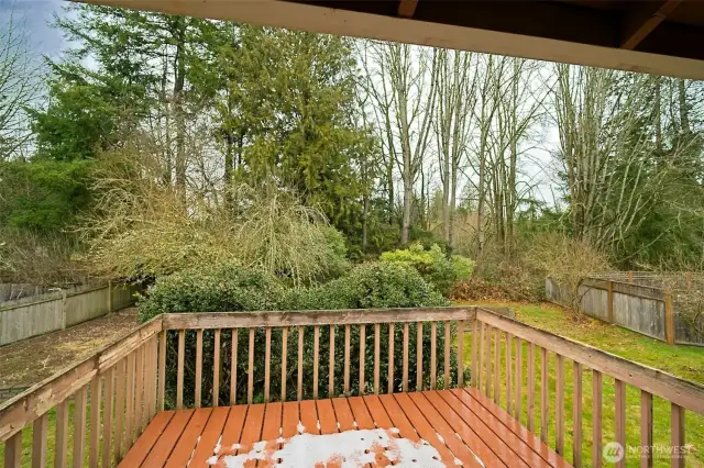 Trex deck off the dining room, overlooking the beautiful backyard.