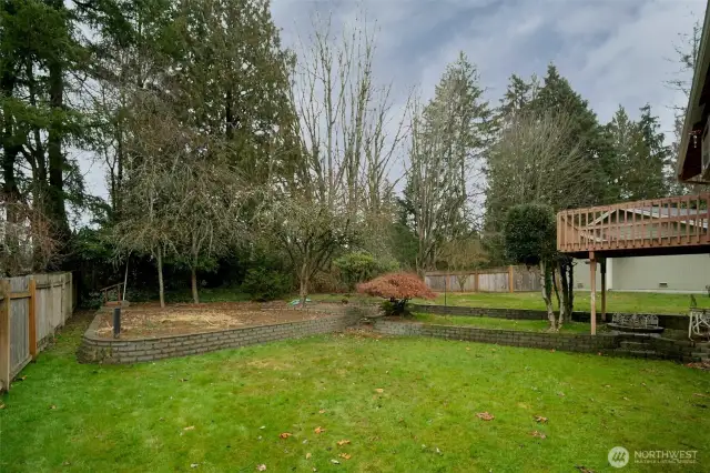 Backyard with fruit trees and garden spaces.  Lots of space to play and/or relax in this backyard!