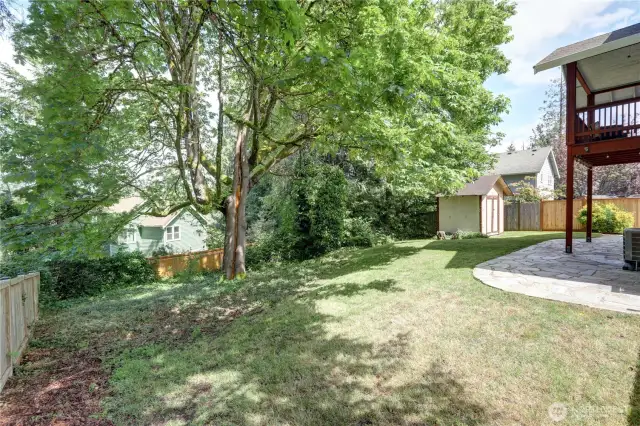 Fenced backyard area