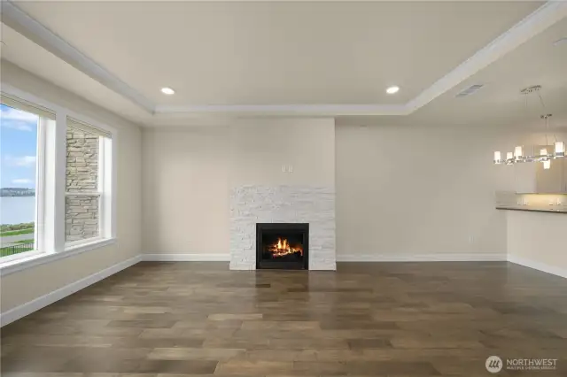 Gas fireplace