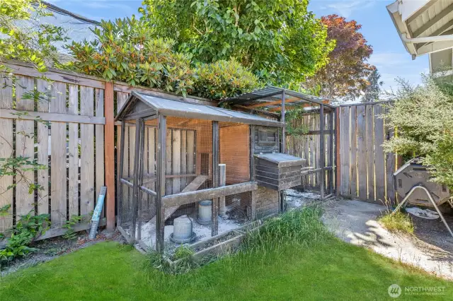Kitchen Coop!