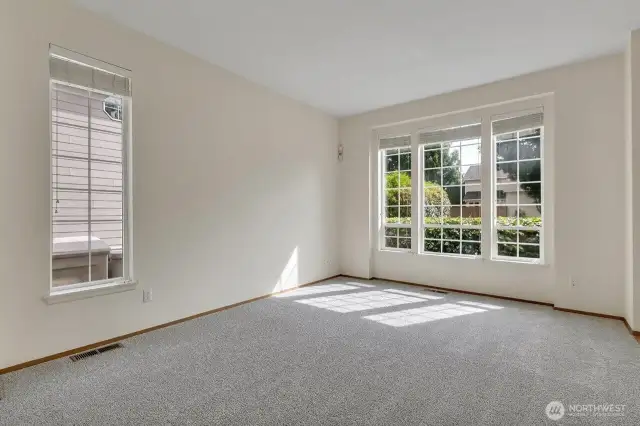 So many windows