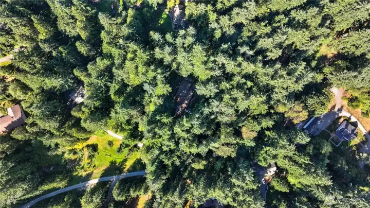 2 lots. 2.54 acres in total