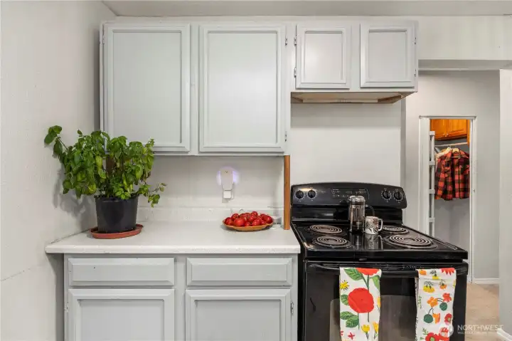 Cabinet storage around oven