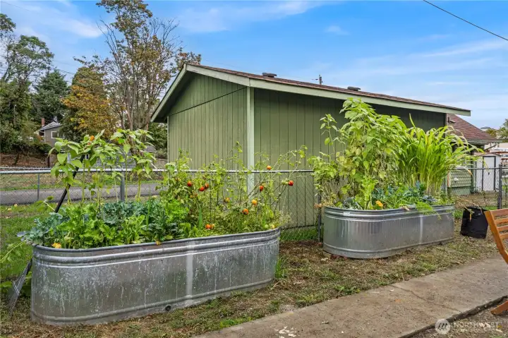 Garden area (all dirt and contents go with owner)